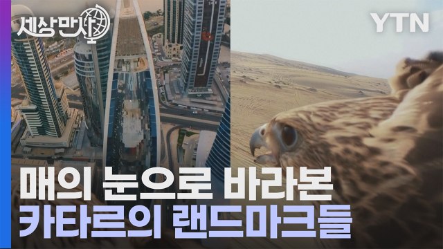 [세상만사] 매의 등에 카메라를 설치해 촬영한 카타르의 명소들 / YTN