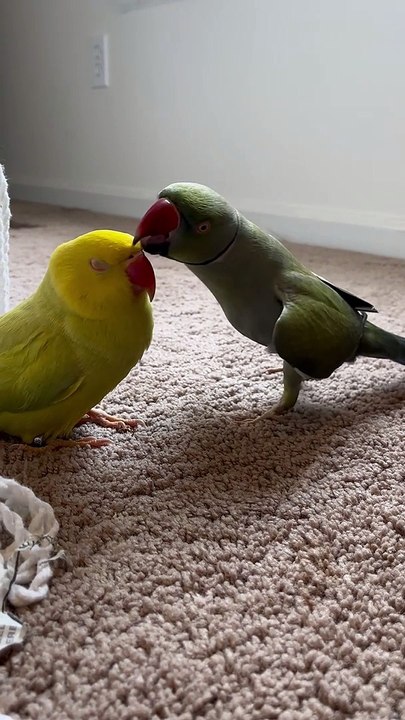 Practicing His Poses For Fashion Week