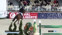 Le Printemps des Sports Equestres | Fontainebleau (FRA) | Youri TROTEREAU | DOLLAR DES G