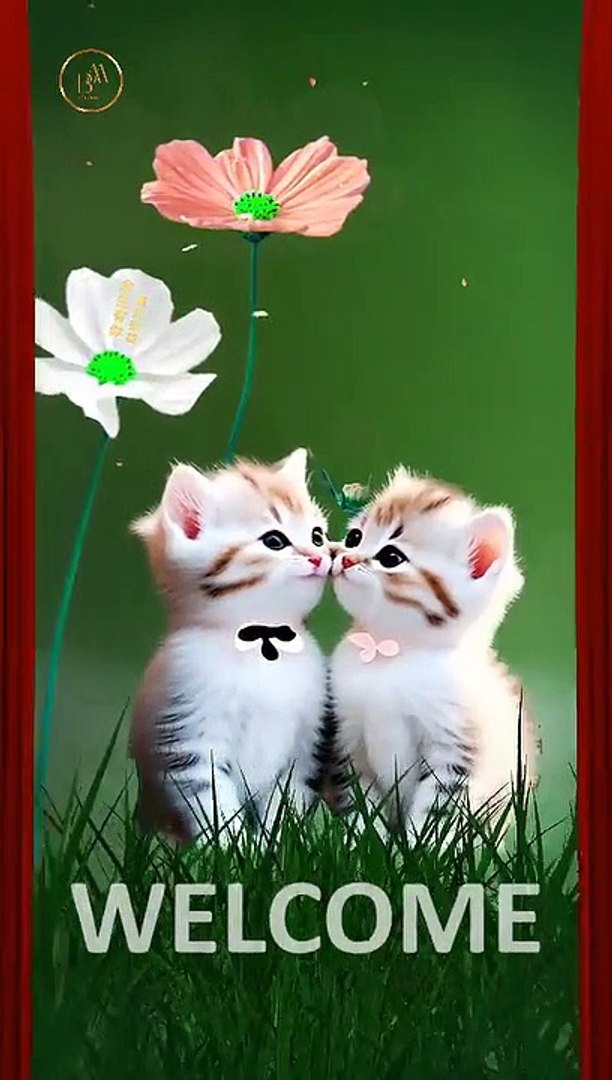 Funny pets 56 short