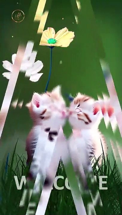 Funny pets 59 short