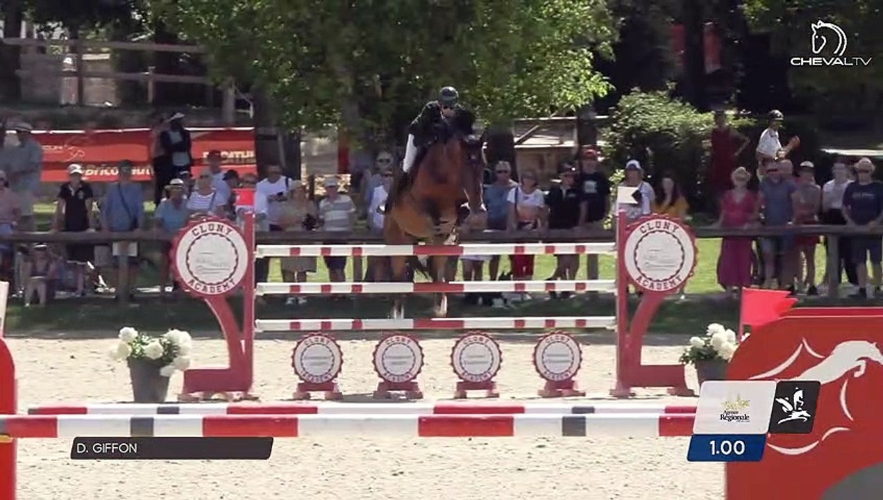 Grand National FFE - AC Print - CSO | Cluny (FRA) | David GIFFON | AMANT DU CHATEAU*GFE