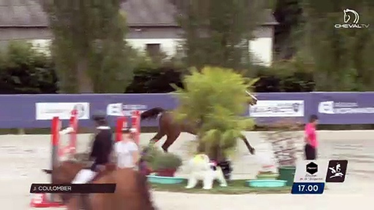 Grand National FFE - AC Print - CSO | Notre-Dame d'Estrées (FRA) | Jerome COULOMBIER | CHIPIE CHARBONIERE