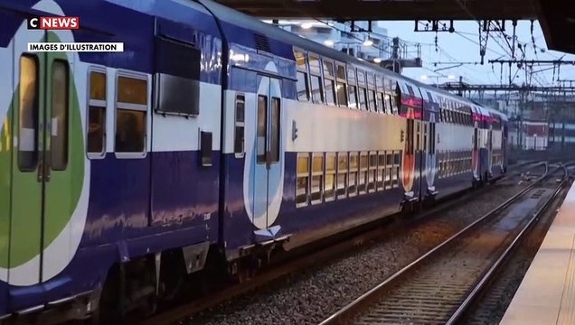 Un pass rail sur le modèle allemand, souhaité par Emmanuel Macron pour les voyageurs des transports publics en France, sera destiné à tous les passagers quel que soit leur âge