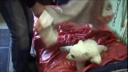 Aspekte_B2_DVD_TITLE_27