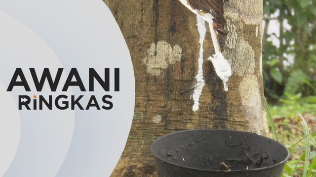 AWANI Ringkas: Pengeluaran getah merosot