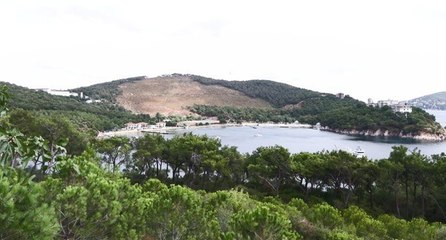 İstanbul’da orman yangınlarına ‘Kozalak’lı önlem