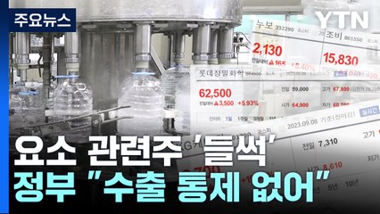 요소 관련주 '들썩'... 정부 "수출 통제·수급 문제 없다" / YTN