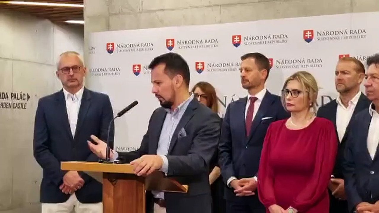 ZÁZNAM: Demokrati kritizujú SaS za postoj k schôdzi o pediatroch