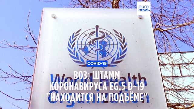 Глава ВОЗ: новый штамм коронавируса находится на подъёме