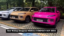 New Wuling (Xingyun) NEBULA COMPACT SUV 2024