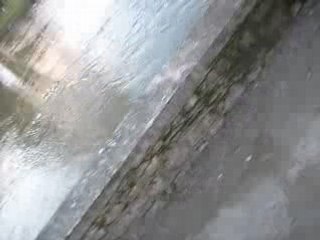 El medioevo ..aprecien