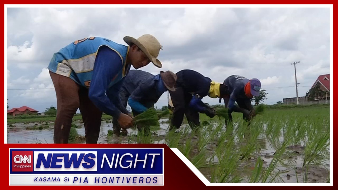 Mga grupo ng magsasaka: 'Di kailangang mag-angkat ng bigas | News Night