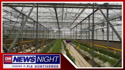 PH layong palakasin ang kooperasyon sa agrikultura sa Taiwan | News Night