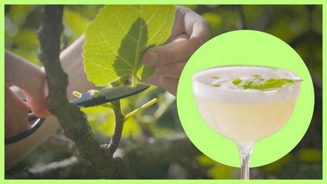 NO Gastro: Cócteles Higuera Sour