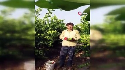 Bak sen şu uyanığa! Tüccarın teklifini duyan çiftçi şaşkına döndü