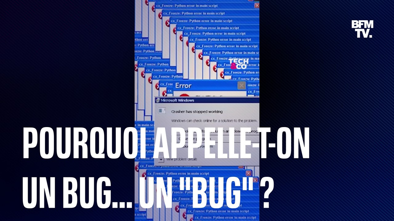 Pourquoi appelle-t-on une panne informatique un... "bug" ?