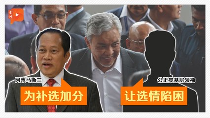 扎希DNAA风波 柔佛双补选加分或减分？