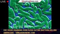 CDC issues warning over flesh-eating bacteria killing Americans - 1breakingnews.com