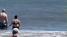 I love Dolphins!