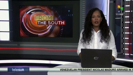 Argentina on alert for avian flu outbreak in sea lions