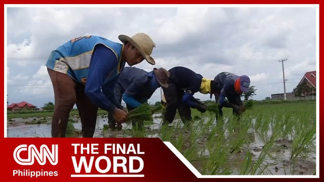 Farmers oppose possible rice importation deal with Vietnam | The Final Word