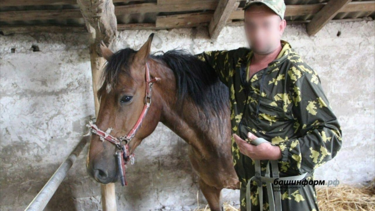 Sondereinheit: Jetzt holt Putin die Kavallerie