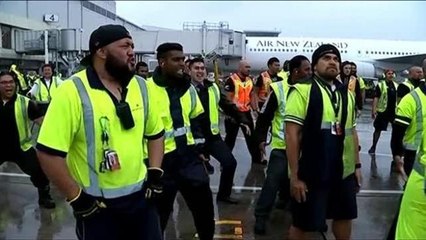 Tornano a casa gli All Blacks, Haka in aeroporto