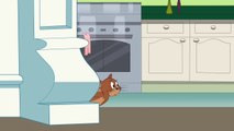 Tom & Jerry - Tom and Jerry at Home - Cartoon Compilation