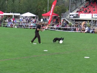 Disc Dog: le evoluzioni con il frisbee di Adrian e Rory