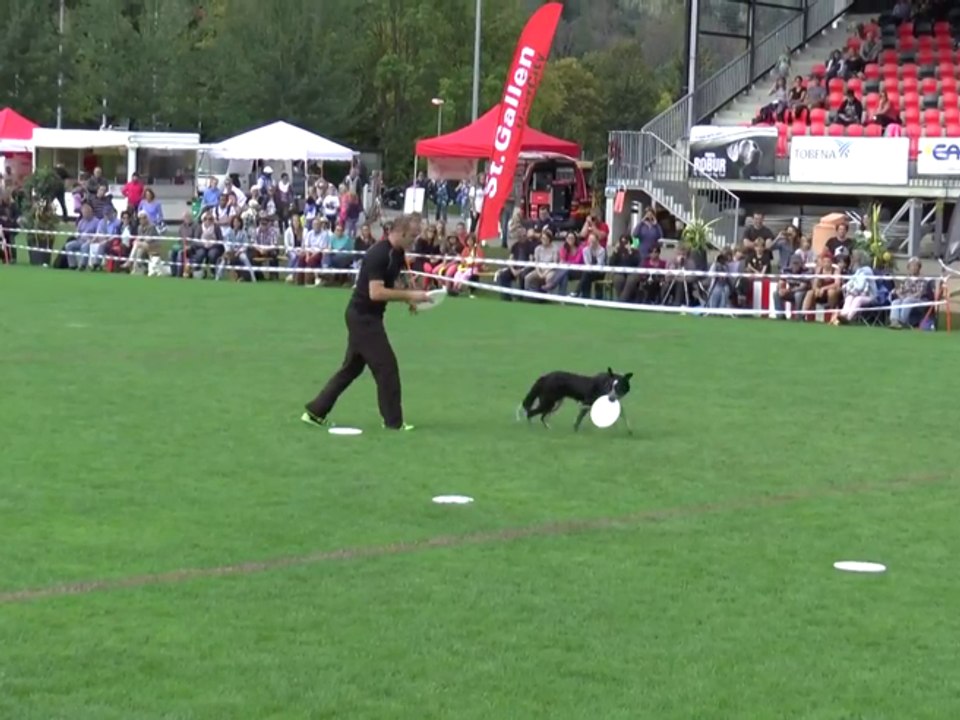 Disc Dog: le evoluzioni con il frisbee di Adrian e Rory