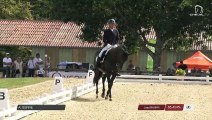 Master Pro de Dressage | Vierzon (FRA) | Arnaud SERRE | JAMES BOND DE MASSA