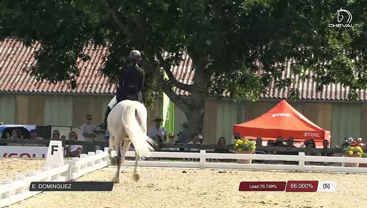 Master Pro de Dressage | Vierzon (FRA) | Elia DOMINGUEZ | GOLIAS DO PENEDO