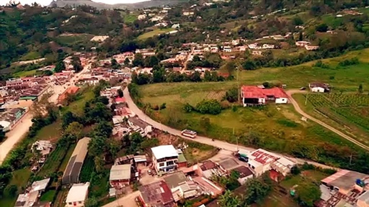 RIGO - TRAILER