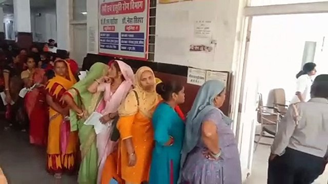 डेंगू का कहर : 29 डेंगू व 1 स्क्रब टायफस मरीज मिला