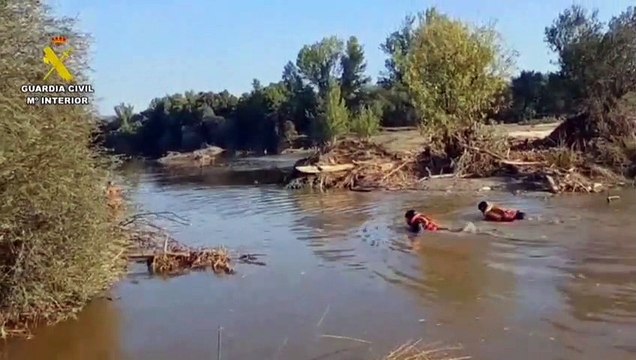 Pai de menino resgatado depois de horas agarrado à árvore é encontrado morto na Espanha