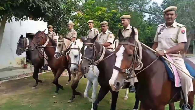 जास्मिन घोड़ी रामगंज में तो चंदन घोड़ा से गोविंद देव मंदिर के आस-पास क्षेत्र में संदिग्धों पर रखी जा रही नजर : देखें वीडियो