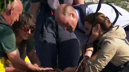 Prince and Princess of Wales given tour of seaweed farm