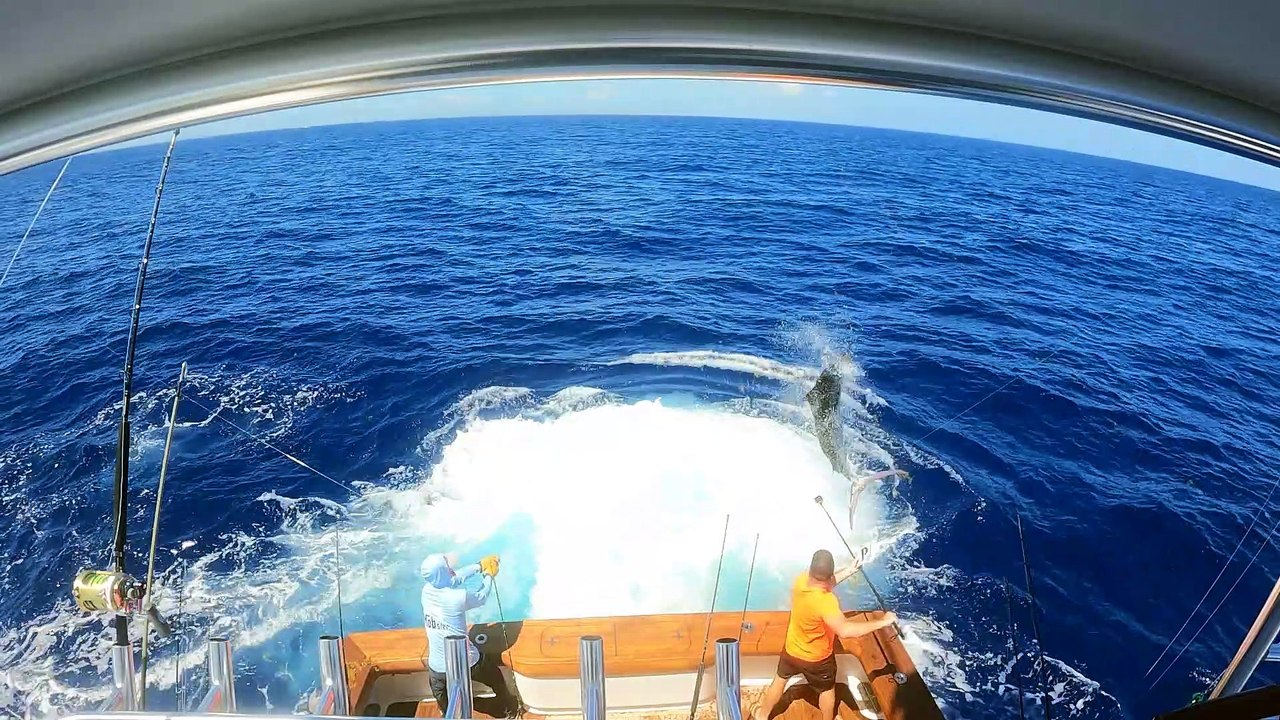 2023 Scrub Island Invitational Billfish Series: Leg 2