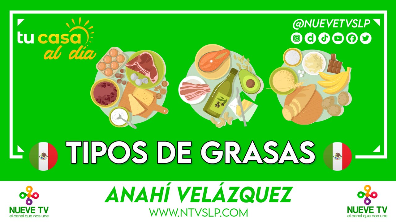 Tipos de grasas