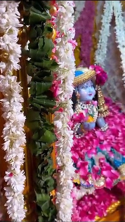 Shree Krishna Janam utsav