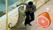 Man Makes Incredible Leap to Escape Leopard Attack