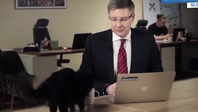 Cat Interrupts Mayor's TV Interview