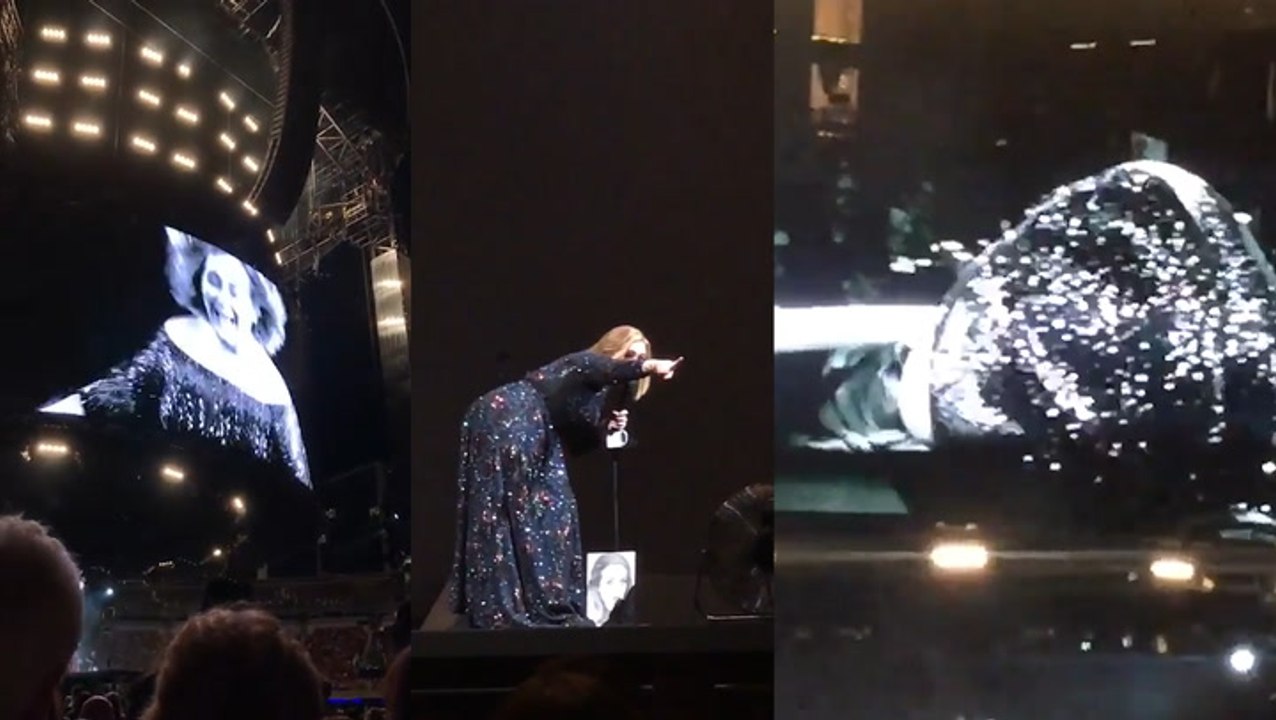 Adele Gets Attacked On Stage By A Bug