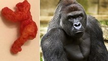 Cheeto In The Shape of Harambe Sells for $99,000