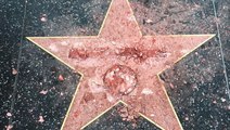 Trump's Walk of Fame Star Gets Destroyed