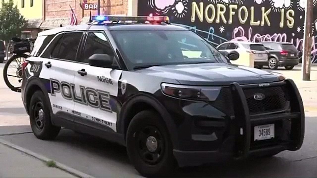 Police pull over man with a bull riding in the passenger’s seat