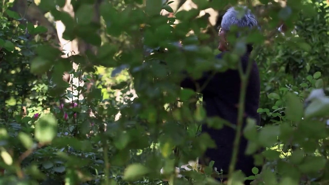 Joan Baez: I Am a Noise | Official Trailer | Mimi Fariña, Bob Dylan