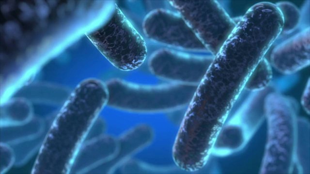 Scientists Bioengineer E. Coli Bacteria to Generate Electricity