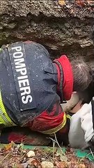 Gaïa enfin sauvée après 48 heures passées dans une canalisation